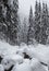 Snowy Pines and River in the Mountain