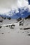 Snowy plateau, high mountain pass and blue sunlit sky with clouds