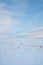 Snowy Portrait Prairie Landscape