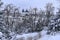 Snowy Prague Castle panorama stock images