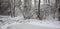 Snowy riparian forest over partly frozen river