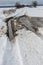 Snowy road in a field leading to pine forest. Winter road to nowhere in sunny day, snow-covered fresh car track. Car