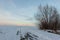 Snowy road in a field leading to pine forest. Winter road to nowhere in sunny day, snow-covered fresh car track. Car