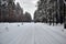 Snowy road in forest in winter