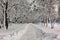 Snowy road in the forest in the winter in the late evening with city light