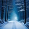 A snowy road in the middle of a forest at