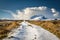 The Snowy Road to Errigal Mountain