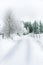 Snowy road, tree and spruce tree forest covered by fresh snow during Winter Christmas time