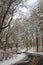 Snowy road winds through forest in winter