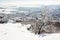 Snowy rocks and winter landscape