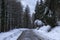 Snowy route surrounded by conifers on a gloomy winter day