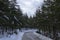 Snowy route surrounded by conifers on a gloomy winter day