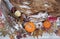 Snowy Rustic Autumn Seasonal Background