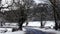 Snowy scene on a country road in Exmouth Devon in England