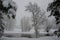 Snowy Scene Merced River