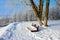 Snowy scenery with bench