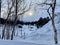 Snowy scenes in Hovden, Norway. River with Blue skies. Bluebird weather.