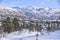 Snowy scenes in Hovden, Norway. Snow covered houses and Ski tracks on the ground, Blue skies. Bluebird weather.