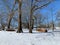 Snowy scenic landscape with firewood in Oklahoma in winter