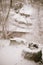 Snowy Sentinel: Nature\'s Blanket on the Forest Stump