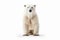 Snowy Serenity: Serene Polar Bear Amidst a White Blank Canvas