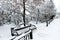 Snowy Siberian park.