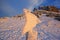 Snowy signpost in winter