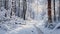 Snowy Solitude: A Hyper-Realistic Depiction of a Snow-Covered Forest, Inviting You to Revel in the Solitude and Tranquility of a W