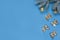 Snowy sprig of pine with christmas balls and gold christmas bow ties isolated on blue background. Flat lay.