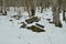 Snowy Stones Landscape From Path To Jump Of Nervion River One Of The Highest Waterfalls In Europe. Landscapes Nature Rivers Snow.