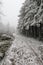 Snowy stony road by the edge of forest