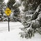 Snowy street scene.