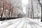 Snowy streets and sidewalks along Washington Square Park during a winter blizzard in New York City