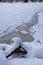 Snowy stump at frozen lake Chapfensee