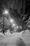 Snowy trail and street light in the winter evening black and white