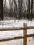 Snowy trees and brown fence in Wisconsin forest