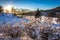 Snowy Trees, The Sun, White Snow and Blue Sky at Gamlehaugen, Bergen, Hordaland, Norway