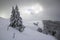 Snowy trees, winter in the Vosges, France