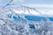 Snowy twigs. Frozen mountains and blue sky on background