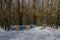 Snowy view toward apiary with bee hive in the winter field at deciduous forest