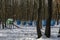 Snowy view toward apiary with bee hive in the winter field at deciduous forest