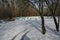 Snowy view toward apiary with bee hive in the winter field at deciduous forest, Zavet town