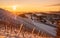 Snowy vineyard in winter at sunraise in Styria Austria Slovenia border