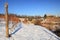 Snowy vineyards of Piedmont.