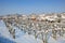 Snowy vineyards. Piedmont, Italy.