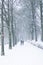 Snowy walk for couple in the park at Lousberg in Aachen, Germany