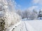 Snowy Walkway