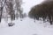 Snowy white background with an alley in the grove. The path among the winter trees with hoarfrost during a snowfall. Snow fall.