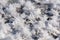 Snowy white background with frosty crystals and curly snowflakes close-up. Winter is a cold season with a blinding white bright