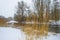 Snowy white edge of a cold lake in a field in wetland in winter